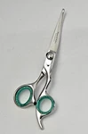 Professional Barber Cutting Scissors Razor Edge Salon Hairdressing Shears New. Price: $17.49.