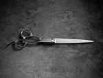 Shitari Hanzo Shears Set Of 4: Hh-v 5.5, HH-8 7.0, 7.5, HH-40T 8.0 Used. Price: $1000.00.