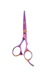 Rainbow Titanium Japanese Stainless Pro Styling Shear With Ergonomic Handle, ... New. Price: $80.12.
